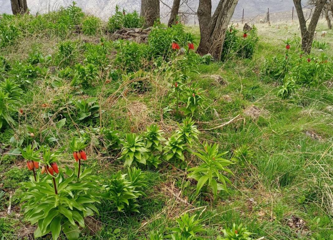 Bu insanlar neye bakıyor? Gece-gündüz nöbet tutuyorlar, ilk kez görenler şaştı kaldı! 53